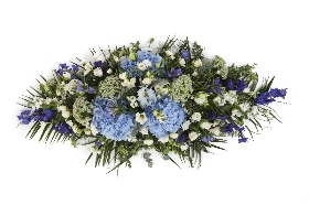 DE12 HYDRANGEA AND DELPHINIUM