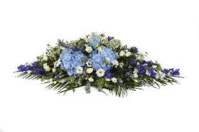 DE12 HYDRANGEA AND DELPHINIUM