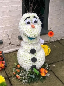 3D OLAF