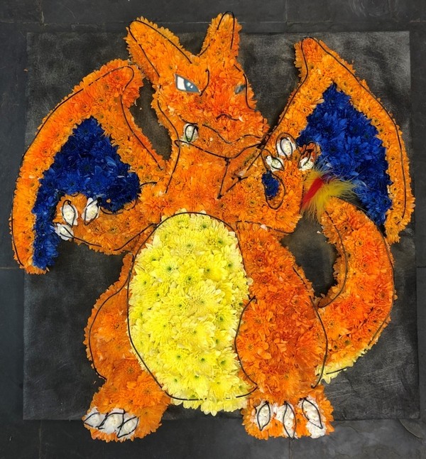 CHARIZARD POKEMON