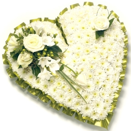 HE2 CHRYSANTHEMUM BASED HEART