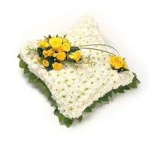 CU3 Chrysanthemum Based Cushion