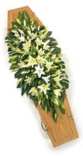 DE7  White and Green Lily Double Ended Spray