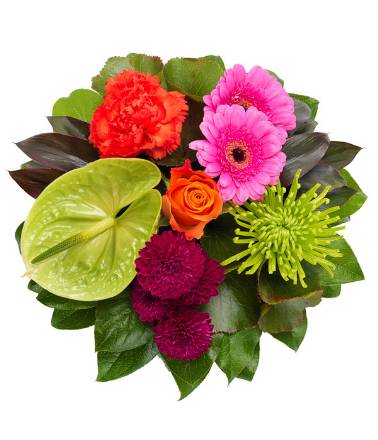 PP8 VIBRANT POSY PAD